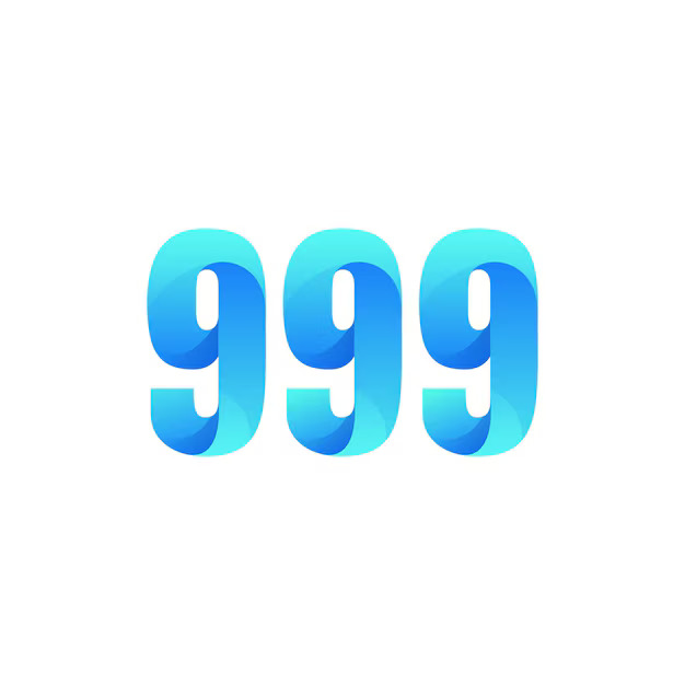 Paisa 999 Logo